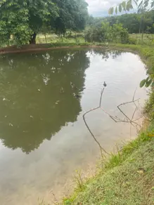 Chácara Área Rural de Uberlândia, Uberlândia - MG — foto 2