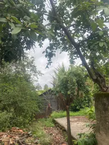 Imagem 2 - Chácara em Área Rural de Uberlândia, Uberlândia - MG