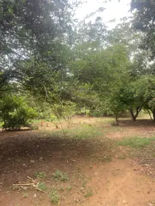 Imagem 3 - Chácara em Área Rural de Uberlândia, Uberlândia - MG