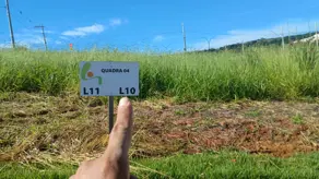 Terreno Loteamento Residencial Dona Adélia II, Araxá - MG — foto 2