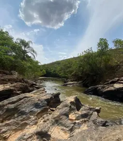 Imagem 3 - Chácara em BR 262, Campos Altos - MG