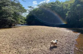 Imagem 2 - Chácara em BR 262, Campos Altos - MG