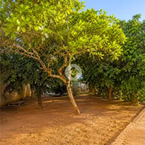 Imagem 6 - Casa em Vila São Pedro, Araxá - MG