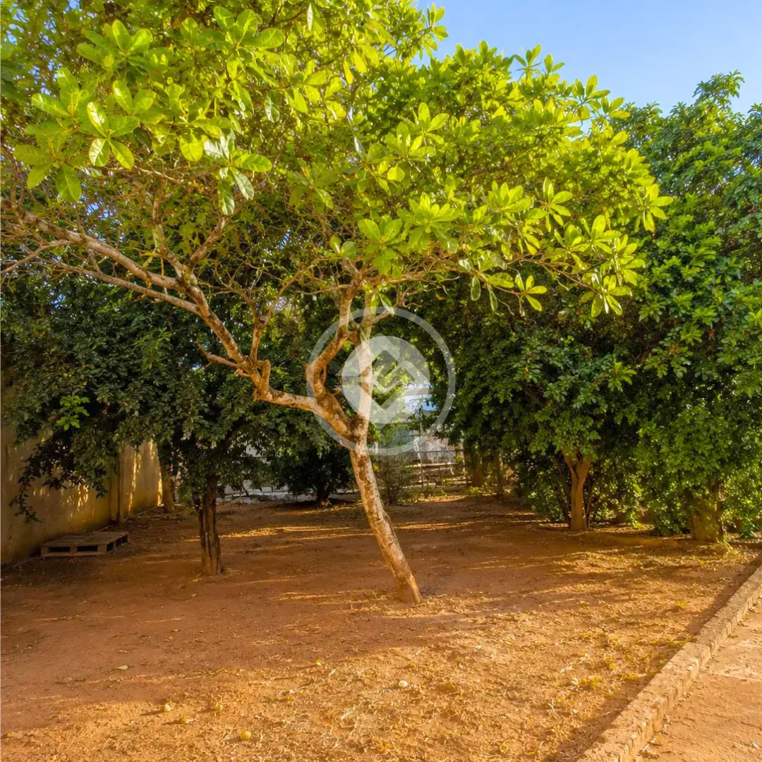 Image 7 - Casa em Vila São Pedro, Araxá - MG