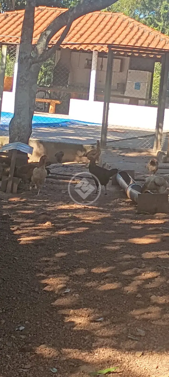 Imagem 1 - Chácara em Municipio Perdizes, Perdizes - MG