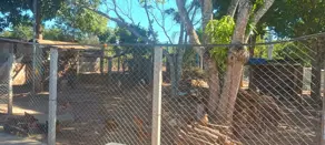 Imagem 4 - Chácara em Municipio Perdizes, Perdizes - MG