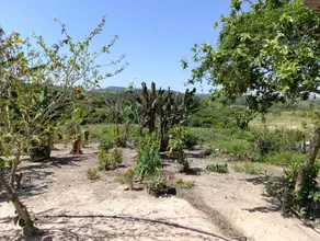 Sítio Zona Rural Araxá, Araxá - MG — foto 1