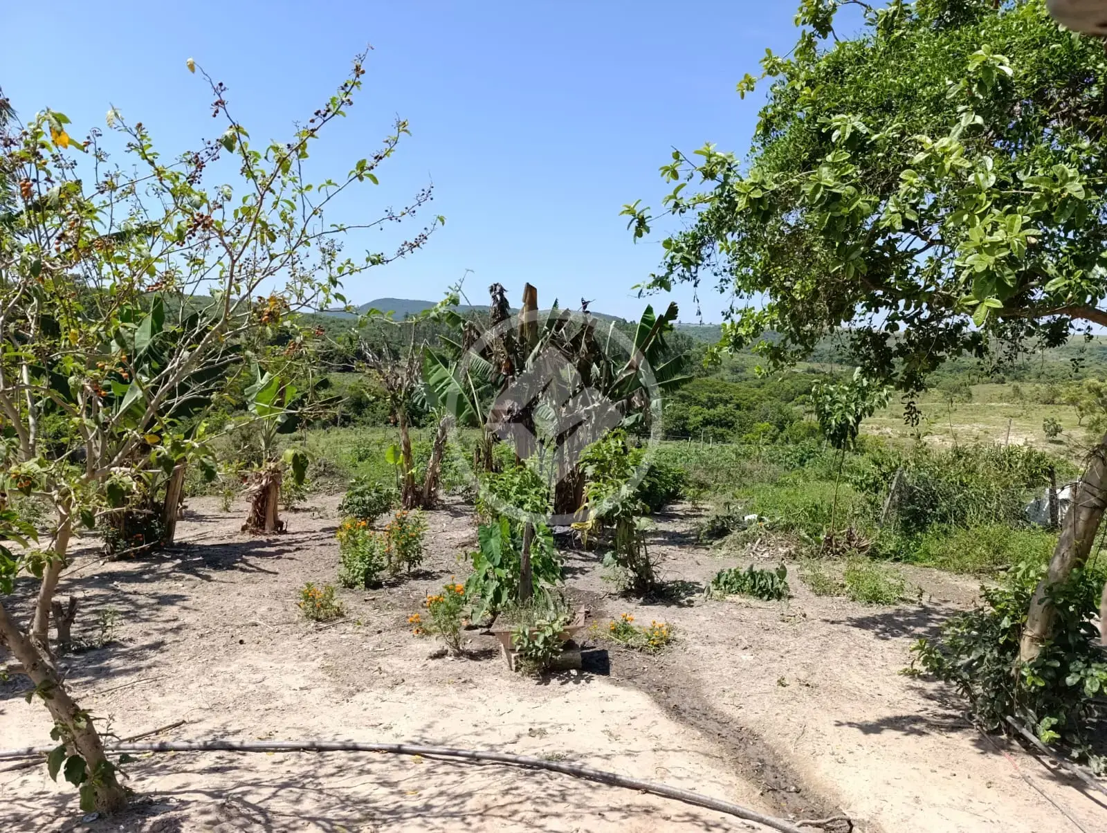 Imagem 1 - Sítio em Zona Rural Araxá, Araxá - MG