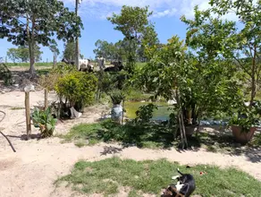 Sítio Zona Rural Araxá, Araxá - MG — foto 2
