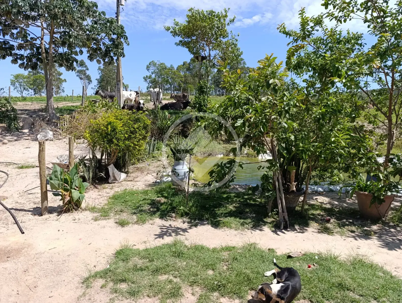 Image 2 - Sítio em Zona Rural Araxá, Araxá - MG