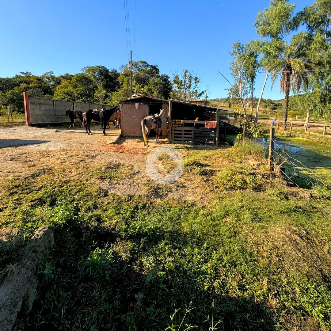 Imagem 3 - Sítio em Amazonas, Araxá - MG