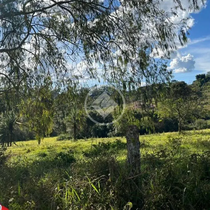 Imagem 5 - Fazenda em Pão-de-Açúcar, Araxá - MG