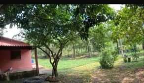 Imagem 2 - Fazenda em Zona Rural, Cocalzinho de Goiás - GO