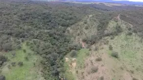 Imagem 4 - Fazenda em Zona Rural, Cocalzinho de Goiás - GO