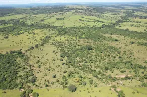 Imagem 2 - Fazenda em Rural, Jussara - GO