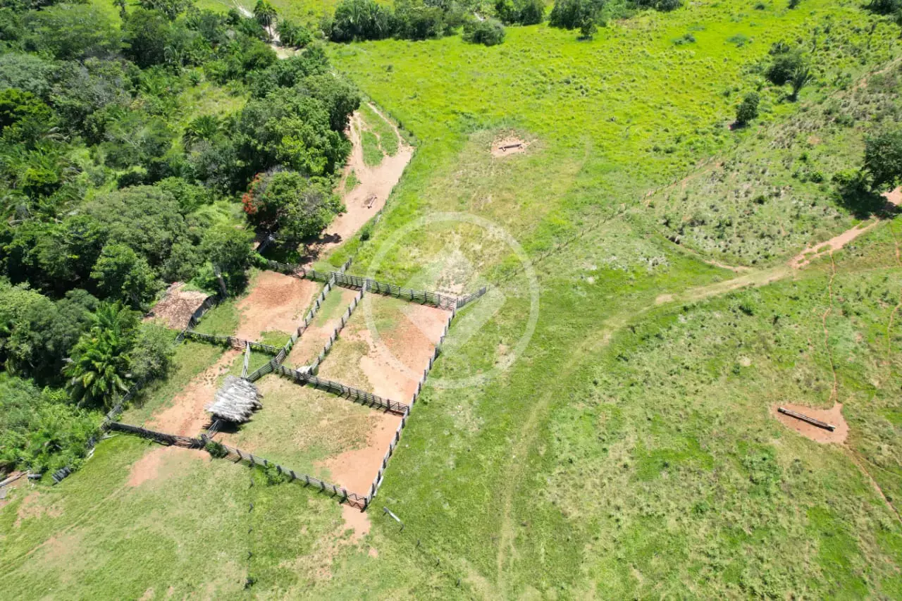 Imagem 3 - Fazenda em Rural, Jussara - GO