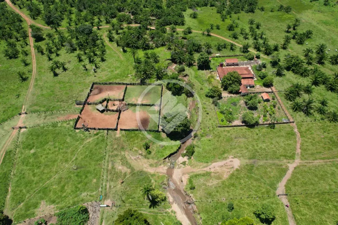 Imagem 4 - Fazenda em Rural, Jussara - GO