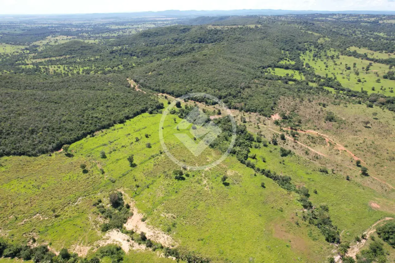 Imagem 5 - Fazenda em Rural, Jussara - GO