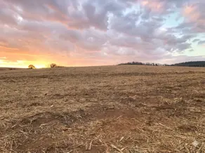 Fazenda Zona Rural, Itapaci - GO — foto 2