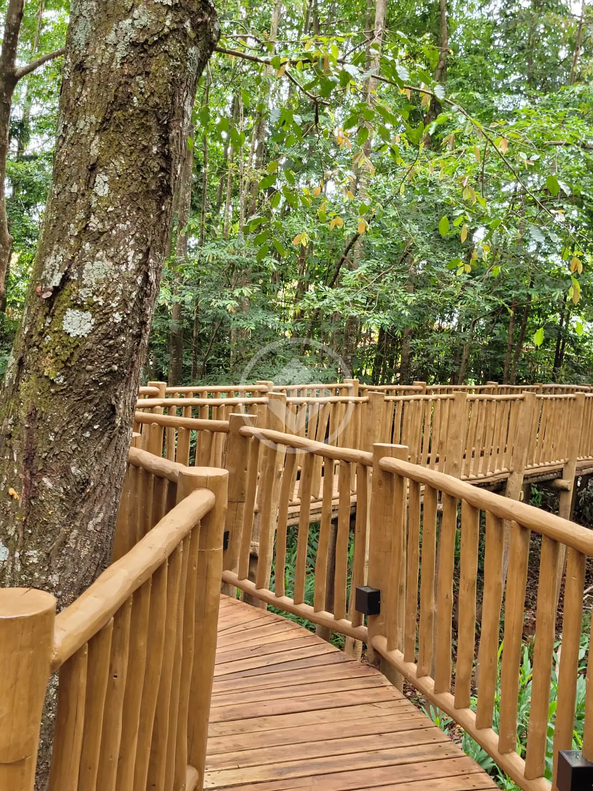 Imagem 5 - Terreno Condomínio em Parqville Quaresmeira, Trindade - GO