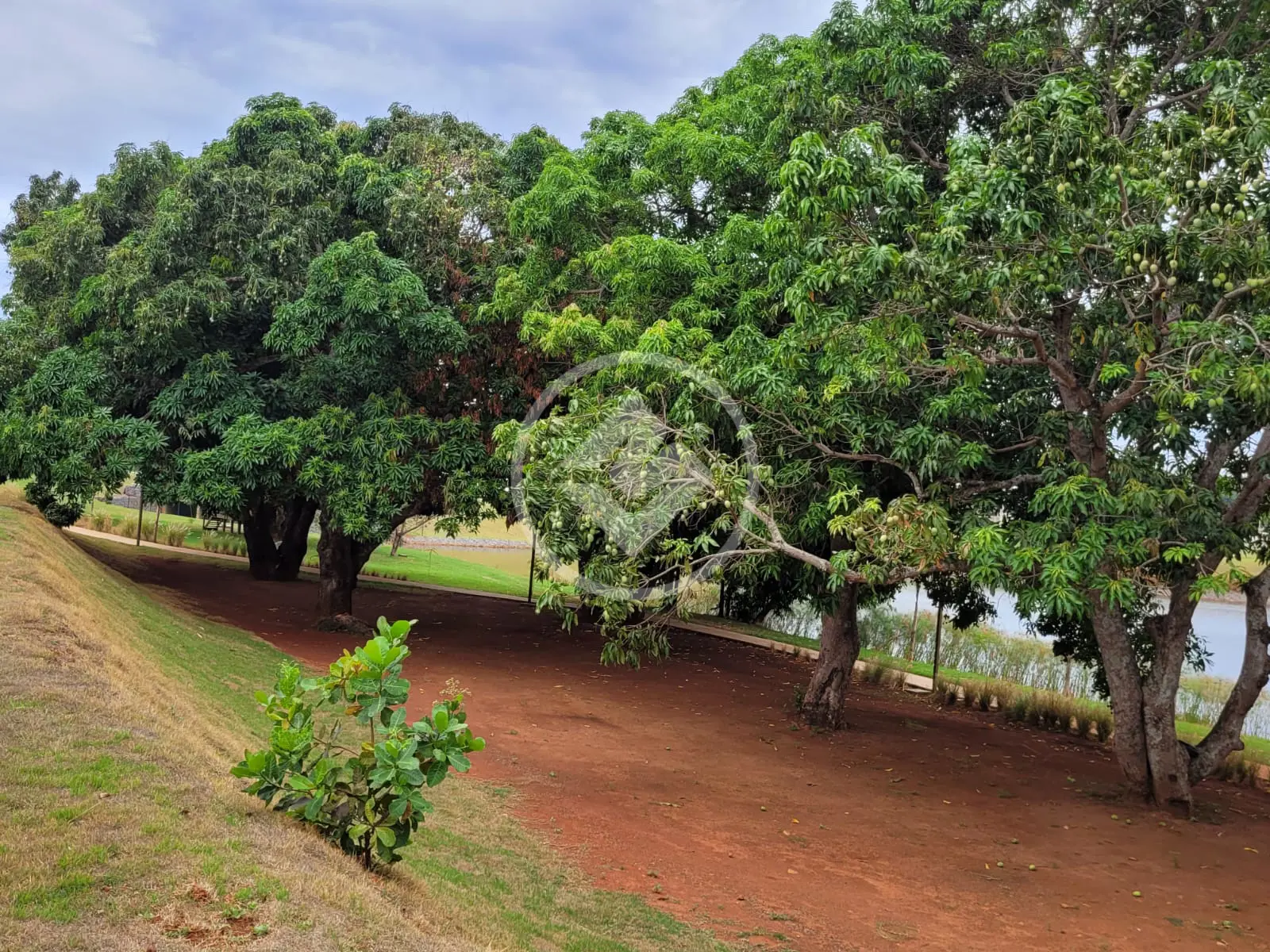 Imagem 3 - Terreno Condomínio em Parqville Quaresmeira, Trindade - GO
