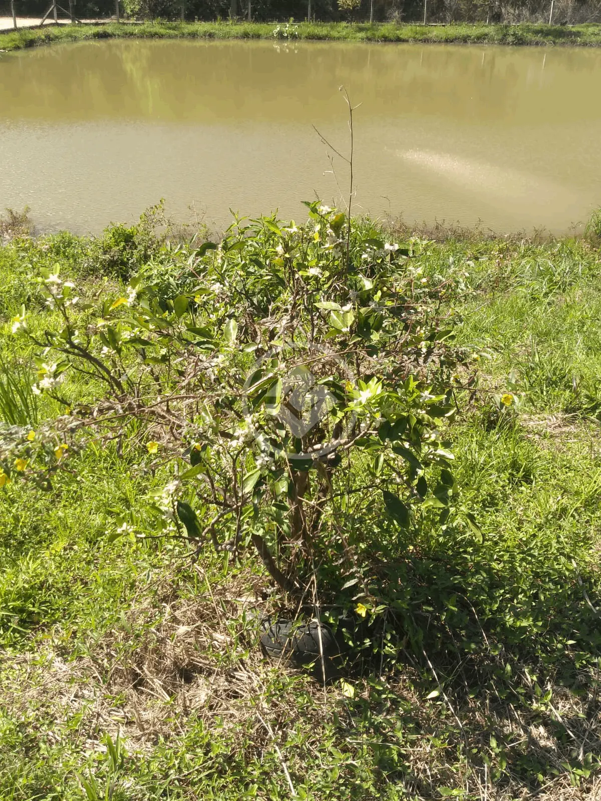 Imagem 5 - Terreno em Rio do Meio, Itajaí - SC