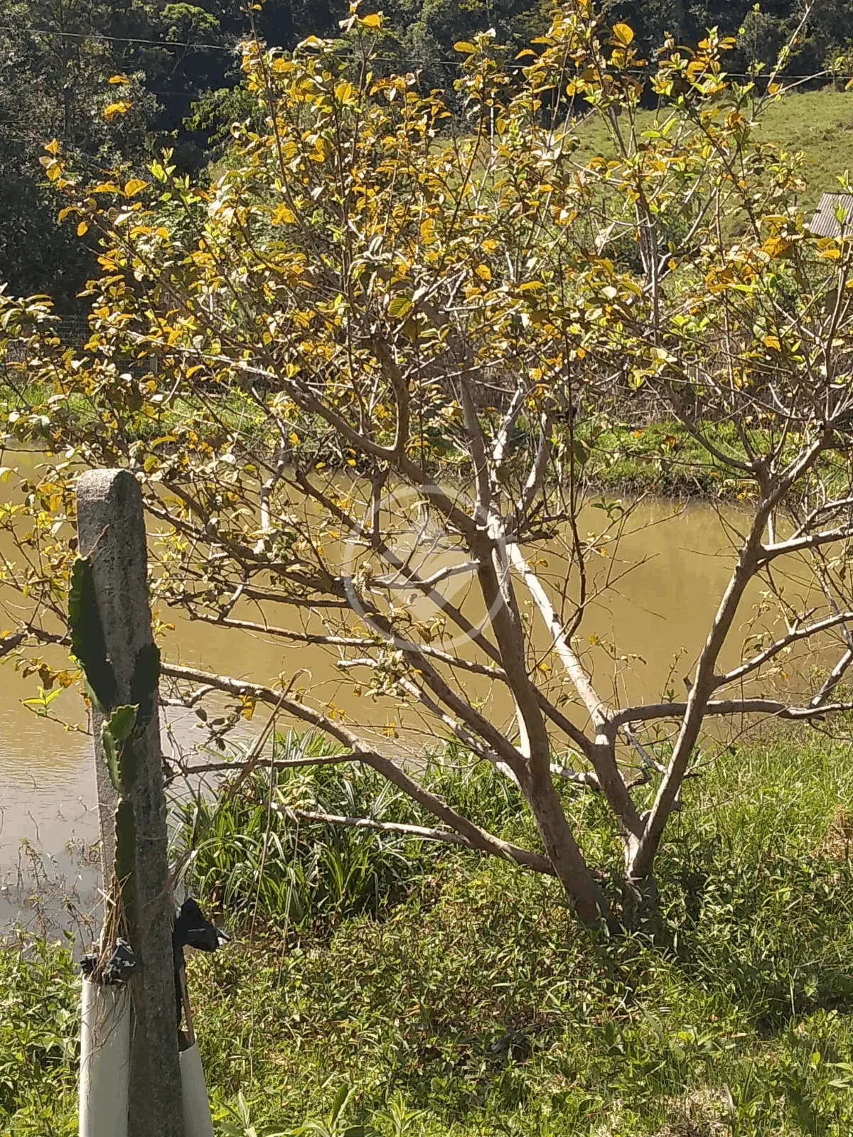 Imagem 4 - Terreno em Rio do Meio, Itajaí - SC