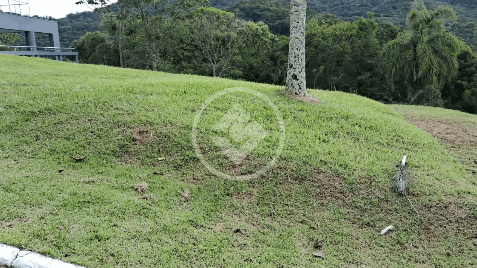 Imagem 3 - Terreno em Ariribá, Balneário Camboriú - SC