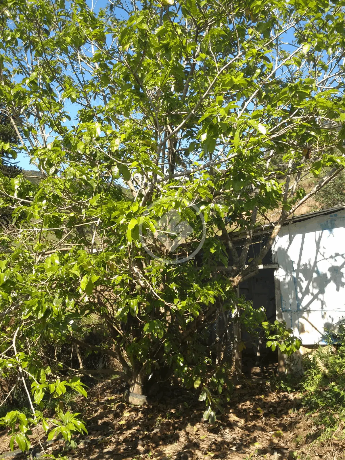 Imagem 2 - Terreno em Rio do Meio, Itajaí - SC