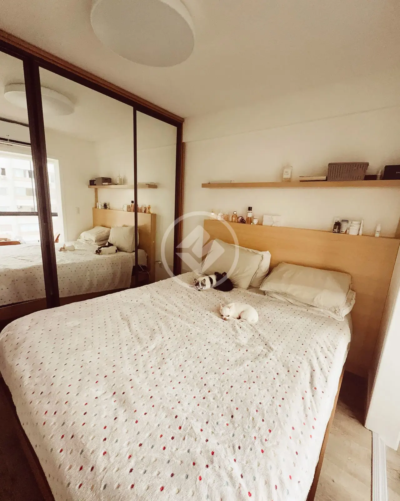 Imagem 5 - Apartamento em Centro, Balneário Camboriú - SC