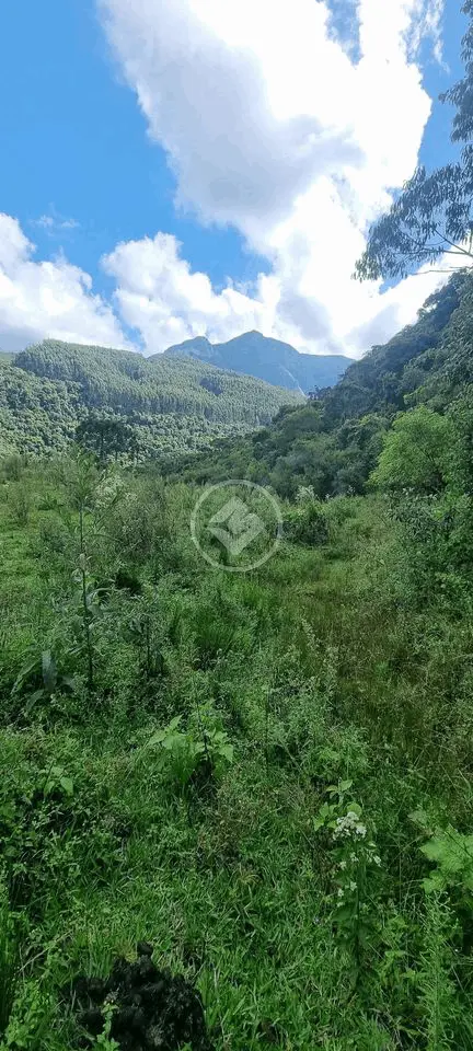 Terreno Morro Redondo, Alfredo Wagner - SC — foto 1
