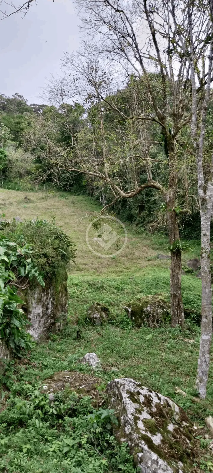 Imagem 2 - Sítio em Rio Pequeno, Camboriú - SC