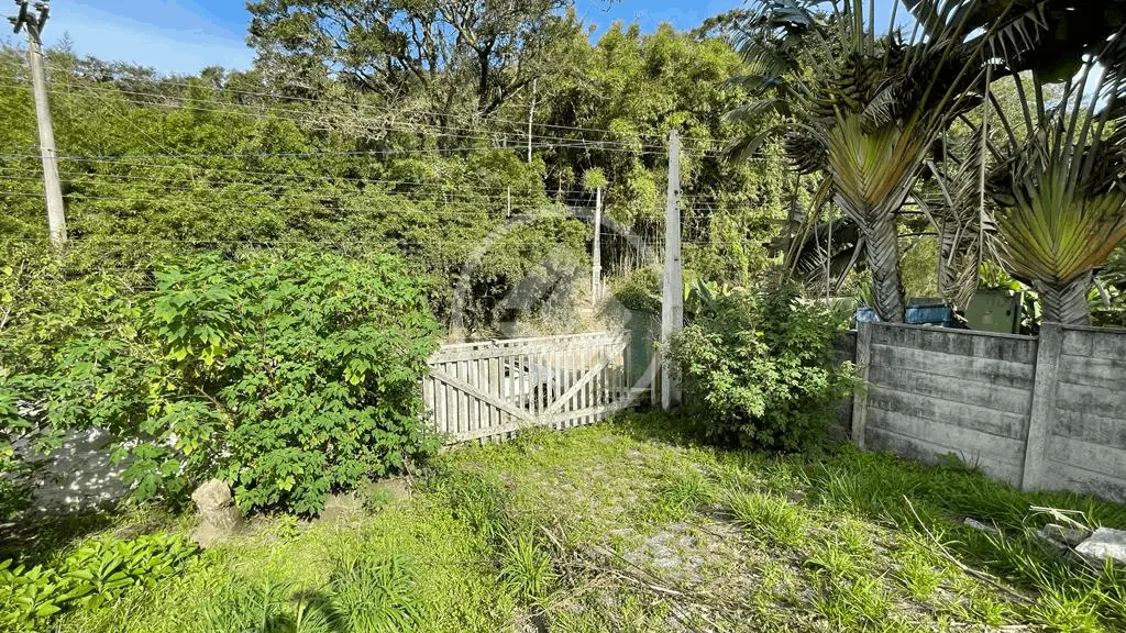 Imagem 5 - Terreno em Araçá, Porto Belo - SC