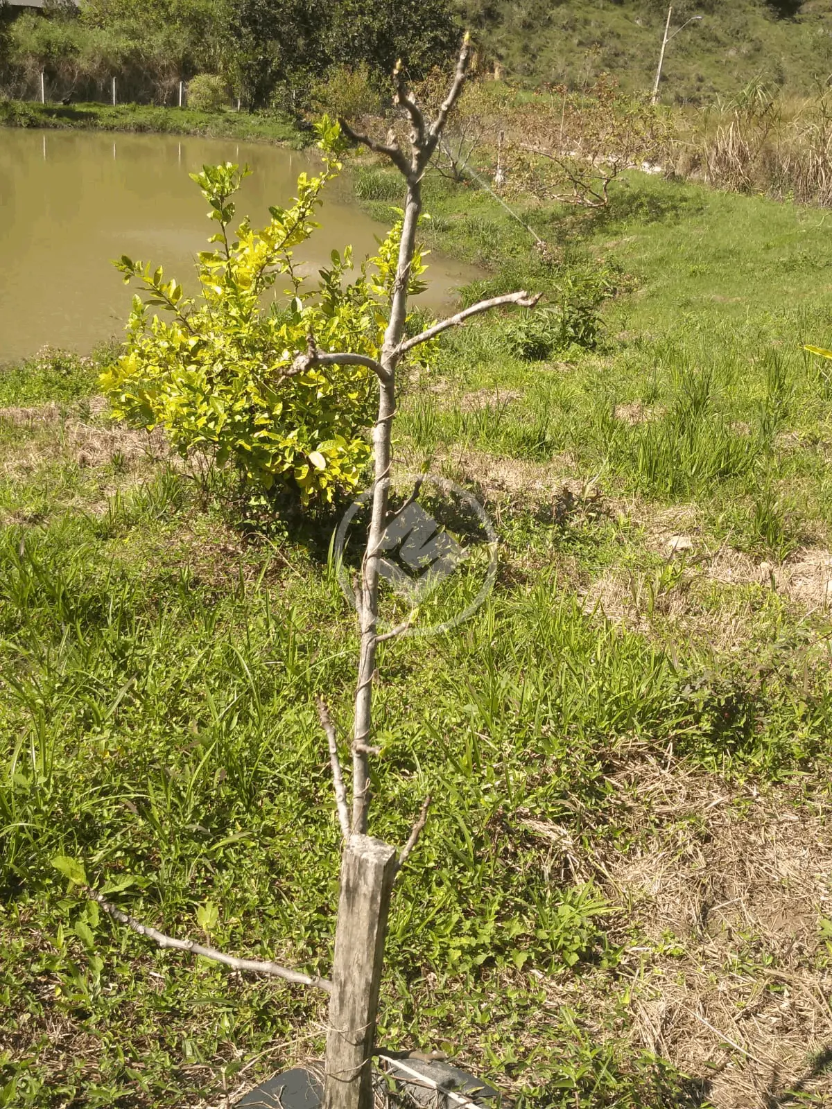 Imagem 3 - Terreno em Rio do Meio, Itajaí - SC