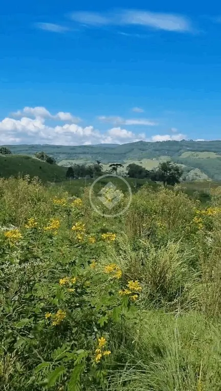 Imagem 5 - Terreno em Morro Redondo, Alfredo Wagner - SC