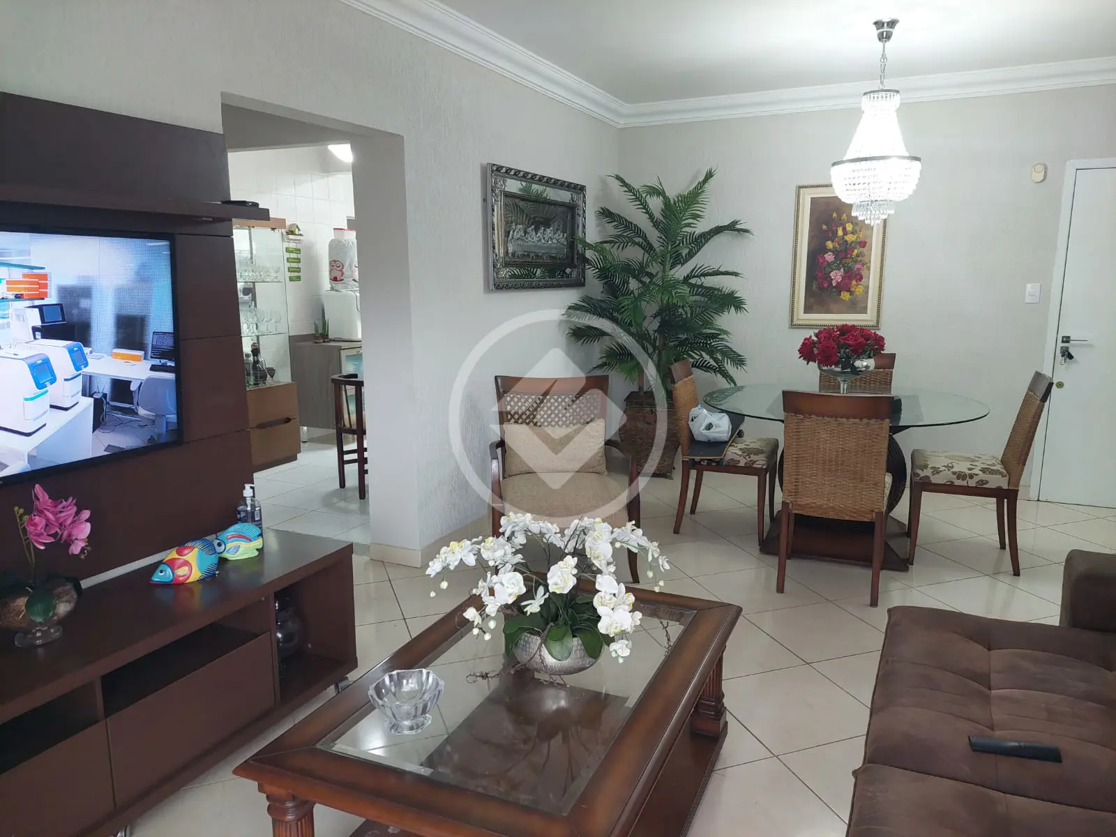 Imagem 6 - Apartamento em PIONEIROS, Balneário Camboriú - SC