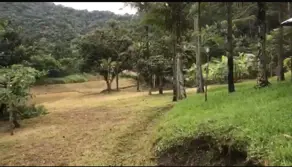 Imagem 3 - Sítio em Várzea do Ranchinho, Camboriú - SC