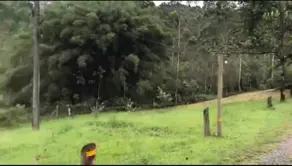 Imagem 2 - Sítio em Várzea do Ranchinho, Camboriú - SC