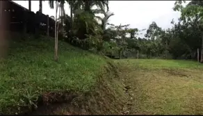 Imagem 4 - Sítio em Várzea do Ranchinho, Camboriú - SC