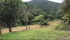 Imagem 6 - Sítio em Várzea do Ranchinho, Camboriú - SC