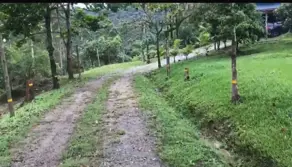 Sítio Várzea do Ranchinho, Camboriú - SC — foto 1