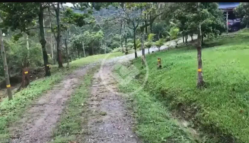 Imagem 1 - Sítio em Várzea do Ranchinho, Camboriú - SC