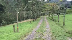 Sítio Várzea do Ranchinho, Camboriú - SC — foto 2