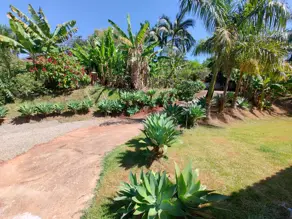 Chácara Chácaras Cambe Londrina, Cambé - PR — foto 2