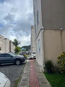Imagem 5 - Apartamento em Bairro Rio Pequeno, Camboriú - SC