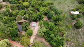 Imagem 2 - Chácara em Anchieta, Barra do Garças - MT