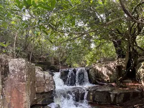 Imagem 4 - Chácara em Mt100, Barra do Garças - MT