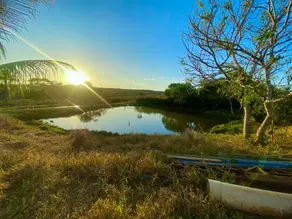 Imagem 3 - Chácara em Pontal, Barra do Garças - MT