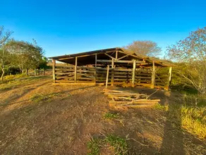 Imagem 4 - Chácara em Pontal, Barra do Garças - MT