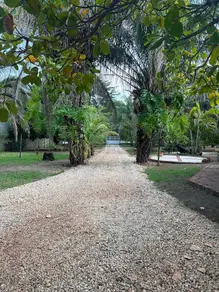 Imagem 4 - Chácara em Toledo, Barra do Garças - MT